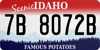 ID license plate 7B8072B