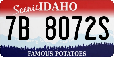 ID license plate 7B8072S