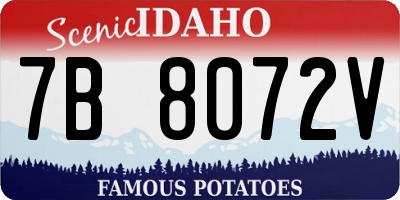 ID license plate 7B8072V
