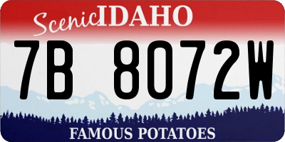 ID license plate 7B8072W