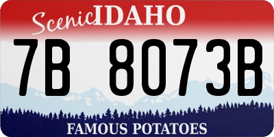 ID license plate 7B8073B