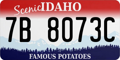 ID license plate 7B8073C
