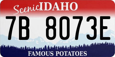 ID license plate 7B8073E