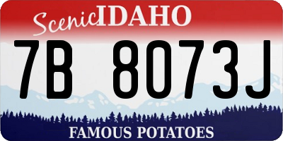 ID license plate 7B8073J