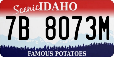 ID license plate 7B8073M