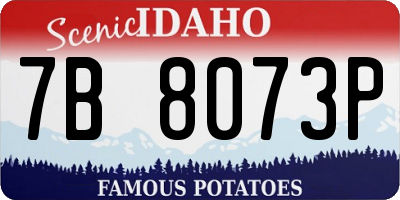 ID license plate 7B8073P