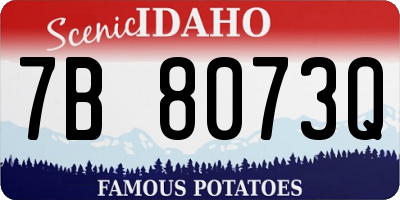 ID license plate 7B8073Q
