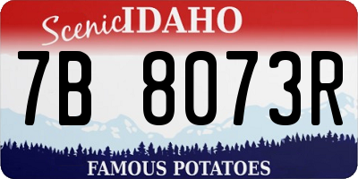 ID license plate 7B8073R