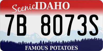 ID license plate 7B8073S