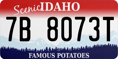 ID license plate 7B8073T