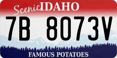 ID license plate 7B8073V