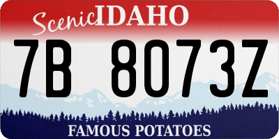 ID license plate 7B8073Z