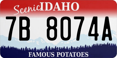 ID license plate 7B8074A