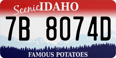 ID license plate 7B8074D