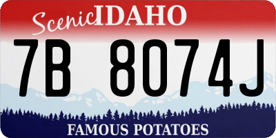 ID license plate 7B8074J