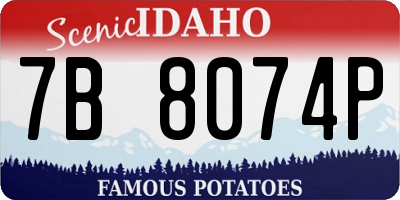 ID license plate 7B8074P