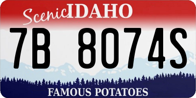 ID license plate 7B8074S