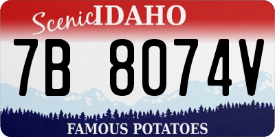 ID license plate 7B8074V