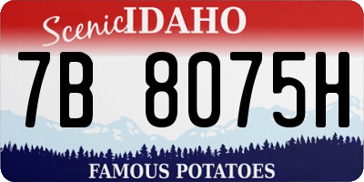 ID license plate 7B8075H