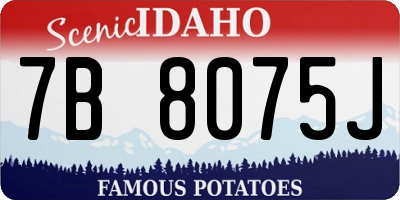 ID license plate 7B8075J