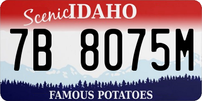 ID license plate 7B8075M