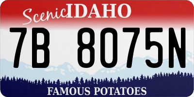 ID license plate 7B8075N