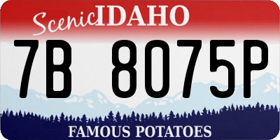 ID license plate 7B8075P