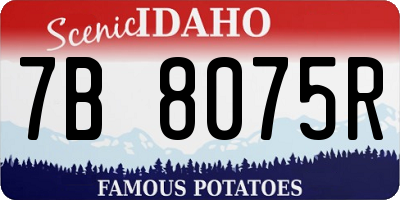 ID license plate 7B8075R