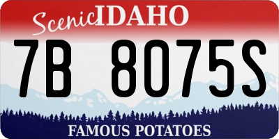 ID license plate 7B8075S