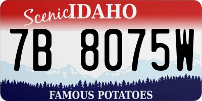 ID license plate 7B8075W
