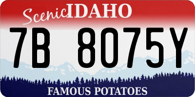 ID license plate 7B8075Y