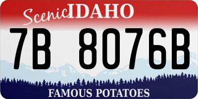 ID license plate 7B8076B