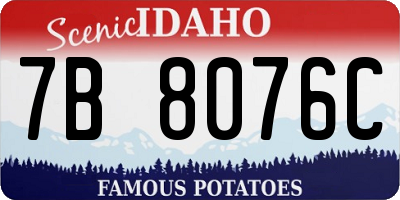 ID license plate 7B8076C