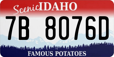 ID license plate 7B8076D