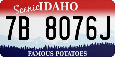ID license plate 7B8076J