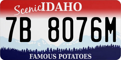 ID license plate 7B8076M
