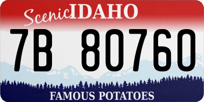 ID license plate 7B8076O