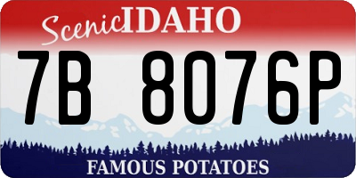 ID license plate 7B8076P