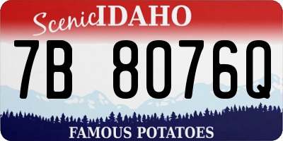 ID license plate 7B8076Q