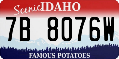 ID license plate 7B8076W