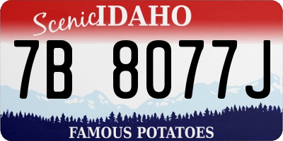 ID license plate 7B8077J