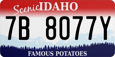 ID license plate 7B8077Y