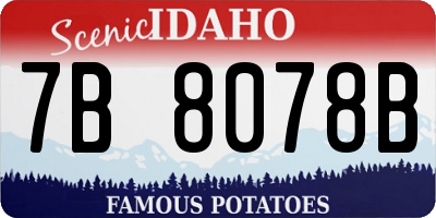 ID license plate 7B8078B