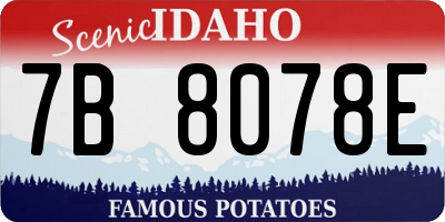 ID license plate 7B8078E