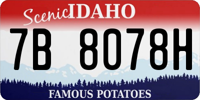 ID license plate 7B8078H