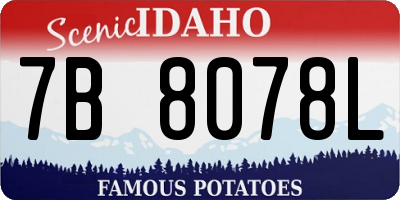 ID license plate 7B8078L