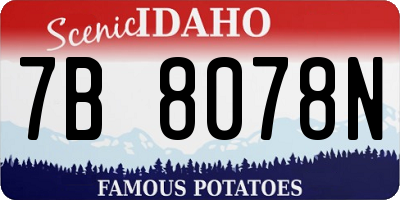 ID license plate 7B8078N