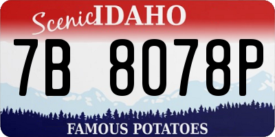 ID license plate 7B8078P
