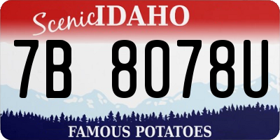 ID license plate 7B8078U