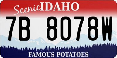 ID license plate 7B8078W